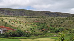 Propriétaire direct VEND  Un grand terrain de 29.750 m2 (2Ha97ca50a)  à 3km d'ambatolampikely RN2. Accessible, bord de route . Électricité et eau à proximité.  - Idéal pour projet agricole - Espace ( Loisirs, Auberge, sns ... ) - Grande usine  Papier (Titré, borné) 50.000Ar/m2 Contact : 033 76 085 86