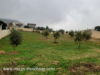 Vente FERME ORCHIDÉE Birbouregba Hammamet Tunisie