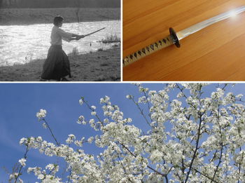 Annonce Cours Kenjutsu Iaido karate do zen 7e Dan Japon Paris sud 14