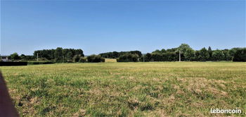 Vente Terrain constructible 6021m2 Baugé-en-Anjou Maine et Loire