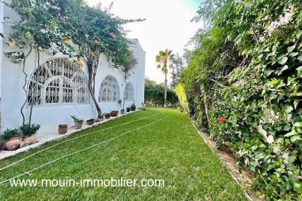 JARDIN ET TERRASSE