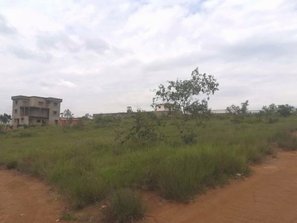 Terrain