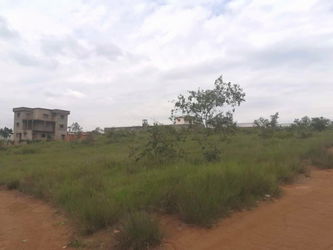 Terrain
