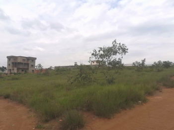 Terrain