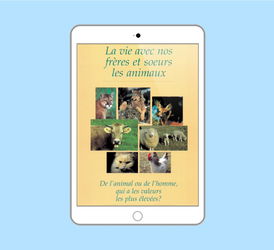 eBook vie nos frères soeurs les animaux Istanbul Turquie