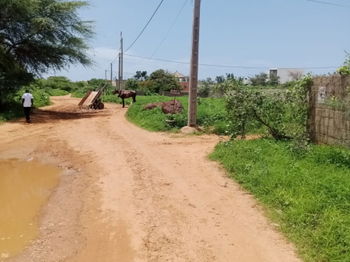 Vente terrain 600 metres carres guereo M&#039;Bour Sénégal