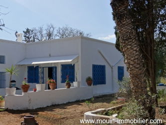 Location VILLA THYM Hammamet Sud Nabeul Tunisie