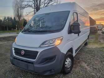 ducato