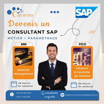 Annonce Pack Formation SAP Fico MM [ Métier Paramétrage] Tunis Tunisie