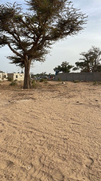Vente terrain 600 metres carres malicounda M'Bour Sénégal