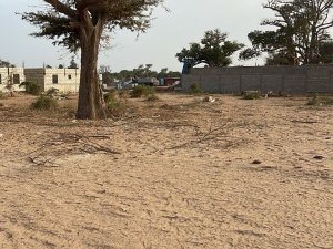 Vente terrain 600 metres carres malicounda M&#039;Bour Sénégal