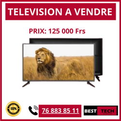TELEVISION