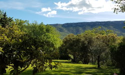 Vue de la terrasse