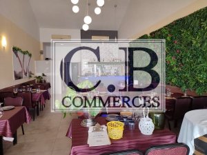 Annonce fonds commerce cb commerces bar restaurant grande terrasse Orihuela costa