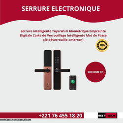 serrures électronique