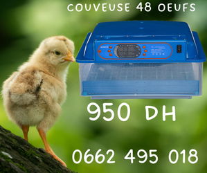 La solution parfaite pour réussir vos éclosions