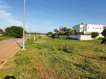 Vente Lot villa titré 1340m² salé les sablons côté faculté Rabat