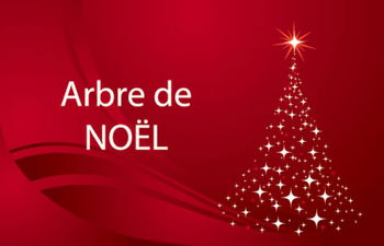 Annonce ARBRE NOËL NOS JEUX D&#039;ENFANTS 02 Dakar Sénégal