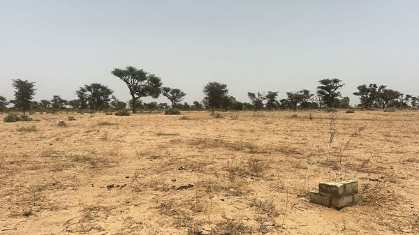 Terrains 225 mètres carrés à vendre à Malicounda, Sénégal