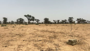 Terrains 225 mètres carrés à vendre à Malicounda, Sénégal
