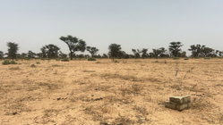 Terrains 225 mètres carrés à vendre à Malicounda, Sénégal
