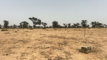Terrains 225 mètres carrés à vendre à Malicounda, Sénégal