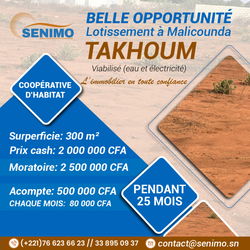 Vente 🌿 Terrain Malicounda Takhoum – Opportunité Exceptionnelle ! 🌿 M'Bour