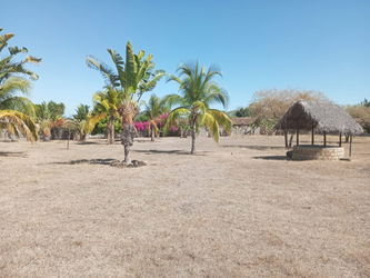 Annonce Vente VT 352 Terrain prêt bâtir dans 1 quartier résidentiel calme sécurisé Ile Nosy Be