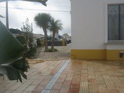jardin