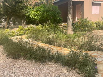 Vente Villa 4 chambres pieds dans l&#039;eau Saly Niakhniahal Sénégal