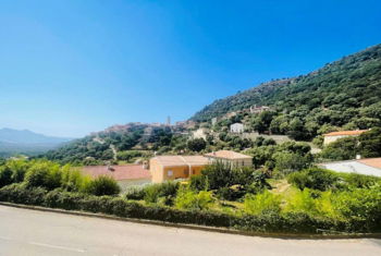 Vente Maison Maitre plein coeur village Zilia village non loin Calvi