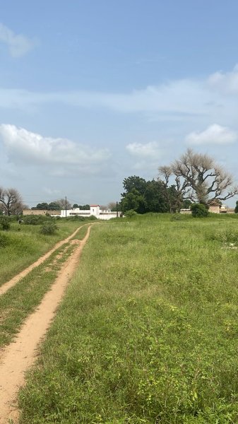 Vente des terrains 600 metres carres malicounda M'Bour Sénégal