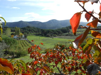 Location quinta vista da serra serra da arrabida setubal Portugal