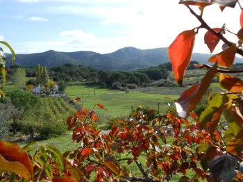 Location quinta vista da serra serra da arrabida setubal Portugal