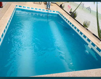 piscine agreable sous le cocotier