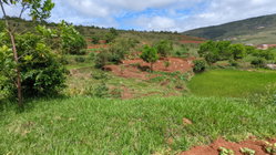 Propriétaire direct VEND  Un grand terrain de 29.750 m2 (2Ha97ca50a)  à 3km d'ambatolampikely RN2. Accessible, bord de route . Électricité et eau à proximité.  - Idéal pour projet agricole - Espace ( Loisirs, Auberge, sns ... ) - Grande usine  Papier (Titré, borné) 50.000Ar/m2 Contact : 033 76 085 86