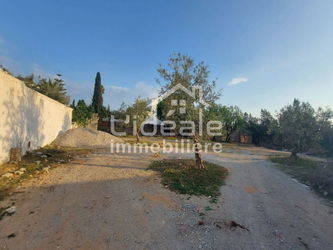 Vente Terrain Rare Hammamet Nord Tunisie
