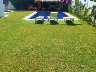 jardin