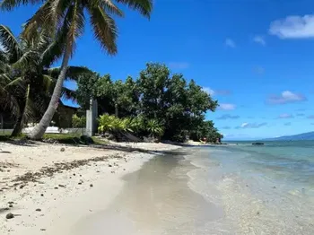 Vente Exceptionnel propriété Mer ! Négociable Moorea-Maiao Polynésie Française