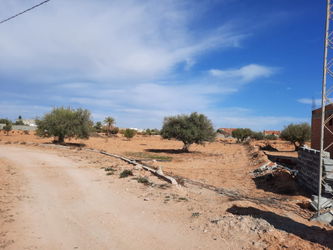 Vue d’ensemble du terrain 