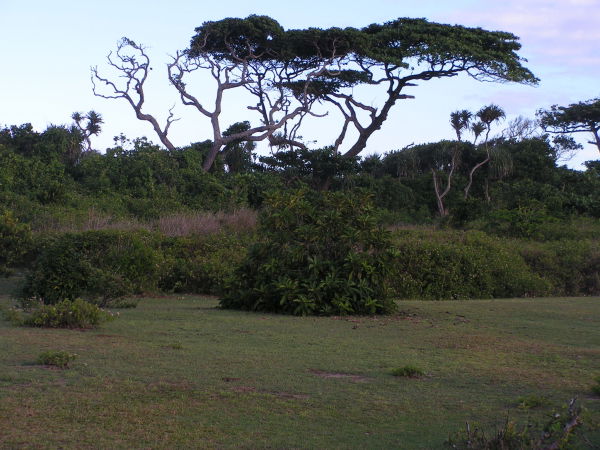 Côté au bord de la Mer