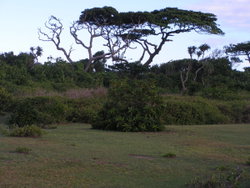 Côté au bord de la Mer