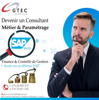 Annonce SAP Fico Métier Paramétrage L'Ariana Tunisie