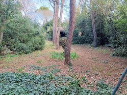 Un bel espace verdoyant propice au repos ou au loisirs