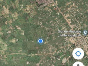 Vente TERRAIN / MBOUR / GANDIGAL M&#039;Bour Sénégal