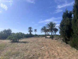 Photo terrain