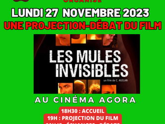 LES SORTIES TROP VIOLANS &quot;LES MULES INVISIBLES&quot; AGORA Matoury Guyane