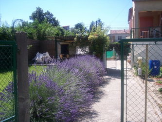 ensemble gîtes et piscine