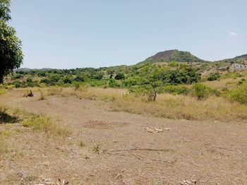 Vente Terrain Anabirano Andrahibo Nosy-Be Hell-Ville Ile Nosy Be Madagascar