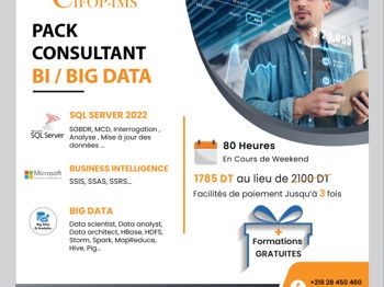 Annonce Pack Bi/Big Data Tunis Tunisie